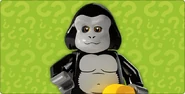 Gorilla3