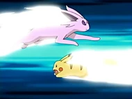 EP447 Espeon usando ataque rápido contra ataque rápido de Pikachu