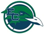 Endicott Gulls.jpg