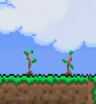 Newly planted trees (acorn)