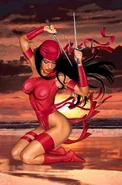 Elektra imagen 20
