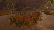 VOSIsland