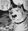 Scan0059n