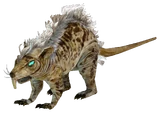 Giant rat