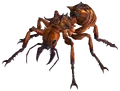 Fire ant
