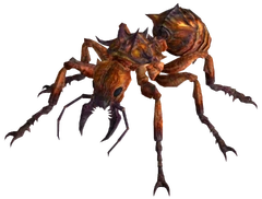 Fire ant
