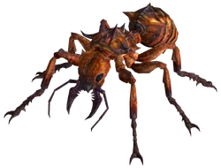 Fire Ant.png