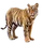 Item jtiger 01