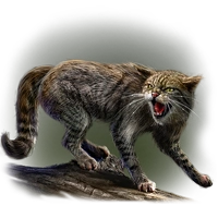 Huge item scottishwildcat 01.png