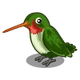 HummingBird-icon