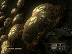Leaper Pods