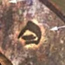 LocustGlyph-DRONE.jpg (4 KB) LocustGlyph-DRONE