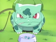 EP366 A Bulbasaur no le gustó el Pokécubo