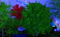 Thumbnail for version as of 15:14, May 8, 2011