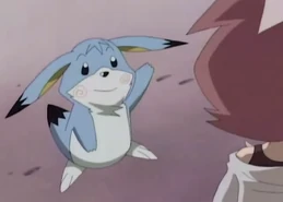 Pui 2