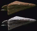 Dauntless class colorschemes.jpg