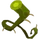 Country Root