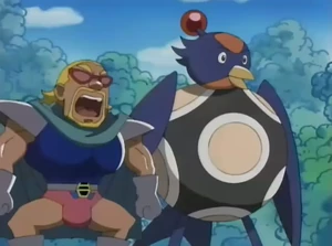 Swallow Ball Bomber