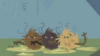 Hairballs