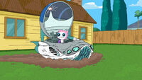 meap meap