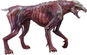 Feral