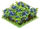 Plot Blueberries
