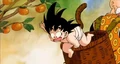 The Change of Goku