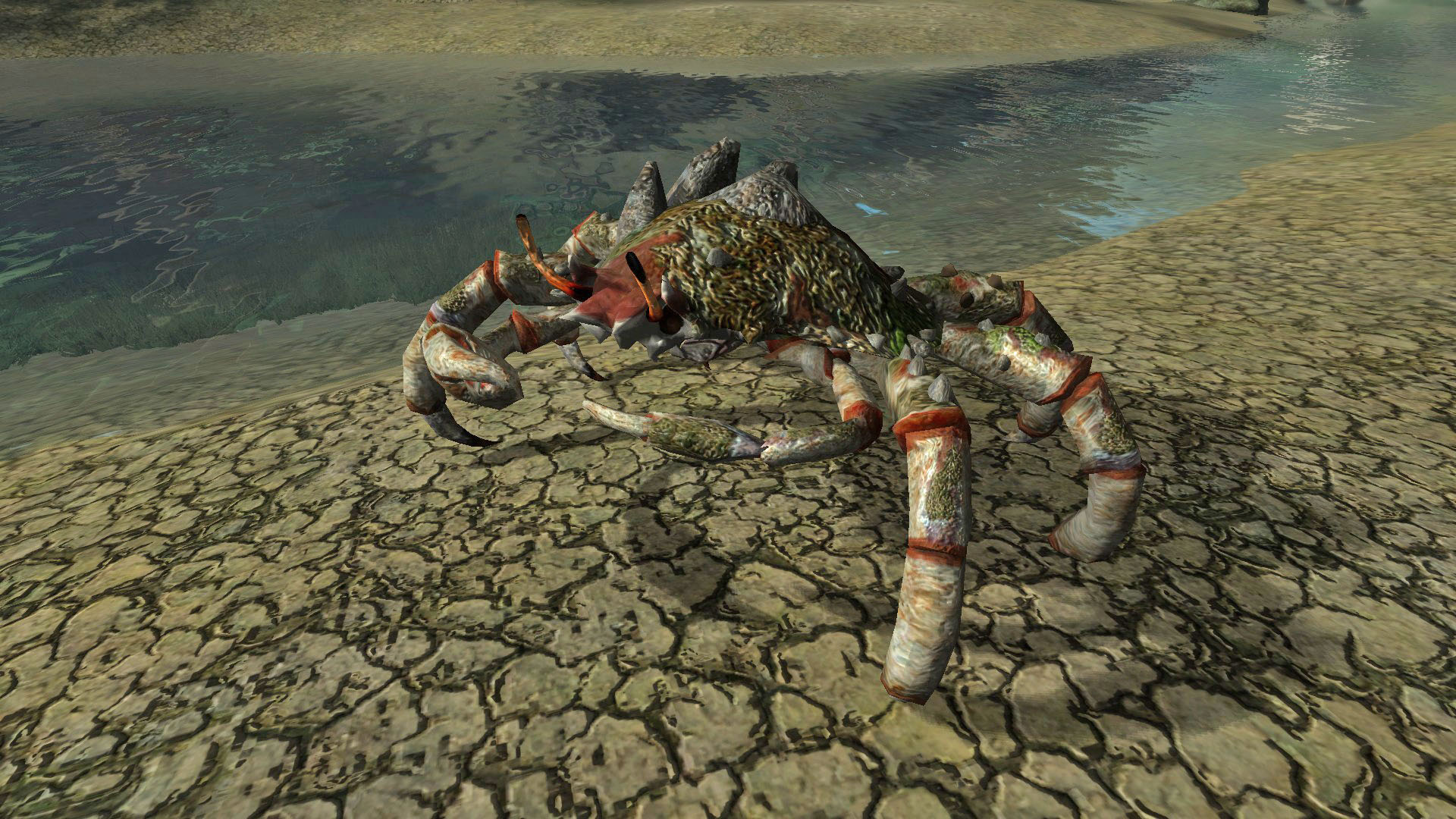 armored crab