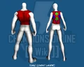 Tunic (Chest Layer) - Back