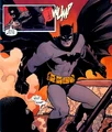 Batman 0511