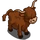 Highland Cow