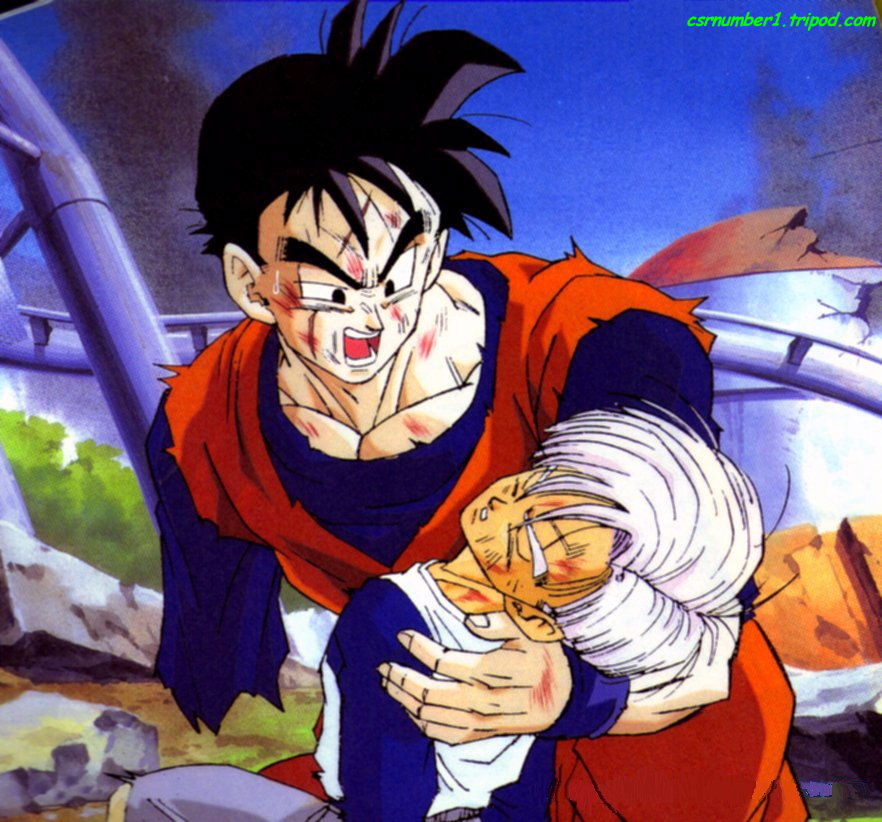 Gohan Future