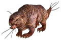 Mole rat FO3