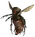 Bloatfly