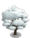 Dogwood Tree (tree)1-icon