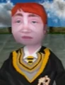 Hufflepuff Duelling Champion.jpg