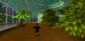 Evergreen Environment.jpg