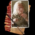Harry-Potter-BlogHogwarts-HP7-2-35.jpg