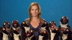 RachealDozen