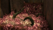 RedHaoma