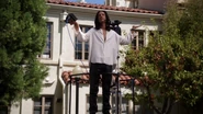 AA Abed god