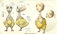 Uca bio