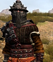 Faction armor