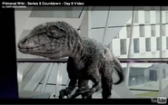 728px-Dromaeosaurus 2