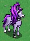 Purpleponytail