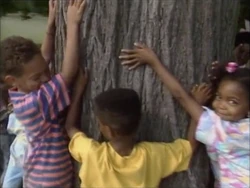 Treehugger