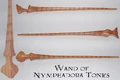 Dora's Wand.JPG