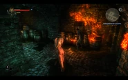 Witcher2-aryan-burning-the-castle