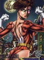 Janet van Dyne Amalgam
