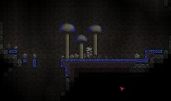 Terraria mushroom trees